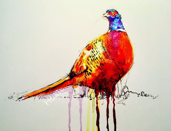 'A pheasant'