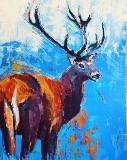 ‘A Stag’