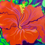 'Hibiscus'