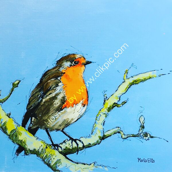 ‘Mr Robin’