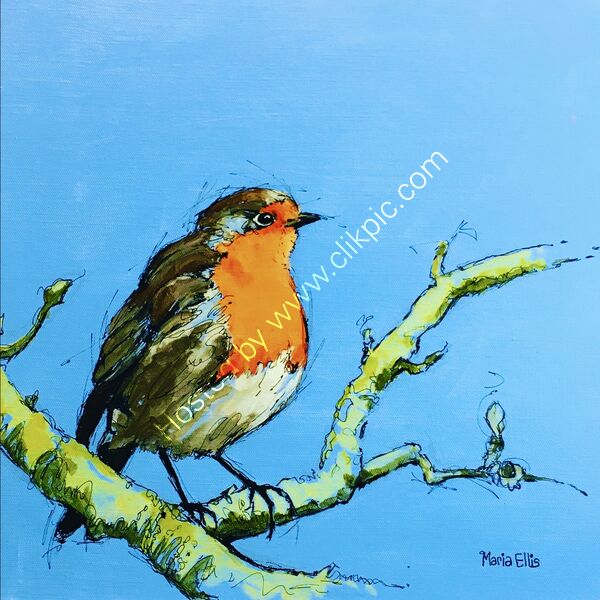 SPECIAL ‘Mr Robin‘ cards 4 for £10