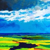 ‘Patchwork fields’