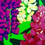 ‘Lupins’