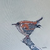 Jenny ‘Wren’