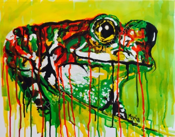 Tree Frog