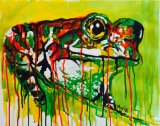 Tree Frog