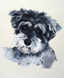 Bella