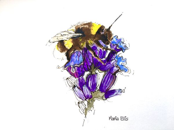 'Bee Creative'