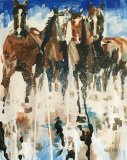 Wild Horses