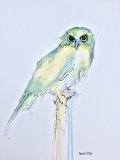 Owl - SOLD