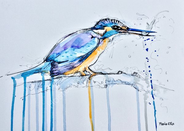 Kingfisher