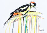 Woodpecker