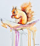 'Red Squirrel' Greetings card