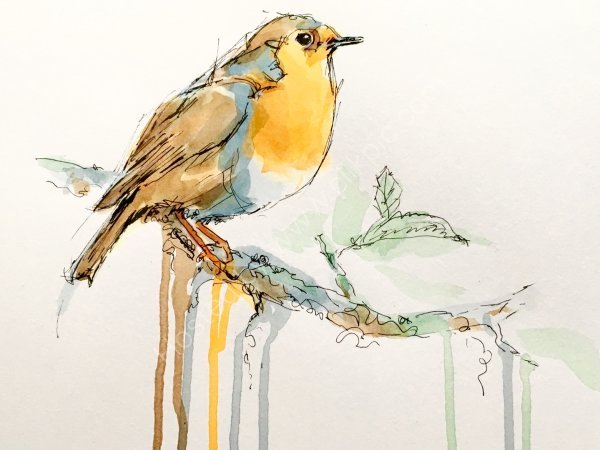 'Robin'