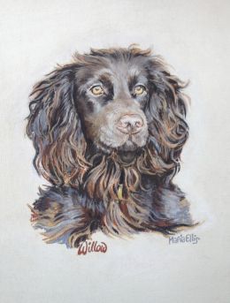 Willow