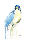 'Peregrine' Greetings card