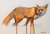 'Foxy'