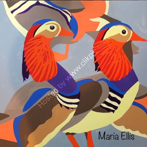 'Mandarin Ducks'