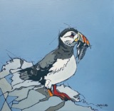 A Puffin