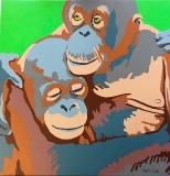 Orangutans
