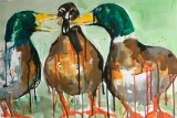 Quackers - SOLD