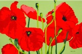 In poppy paradise - Sold