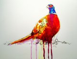 'Peregrine' Greetings card