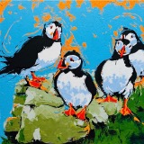 Puffin around