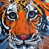 Panthera Tigris