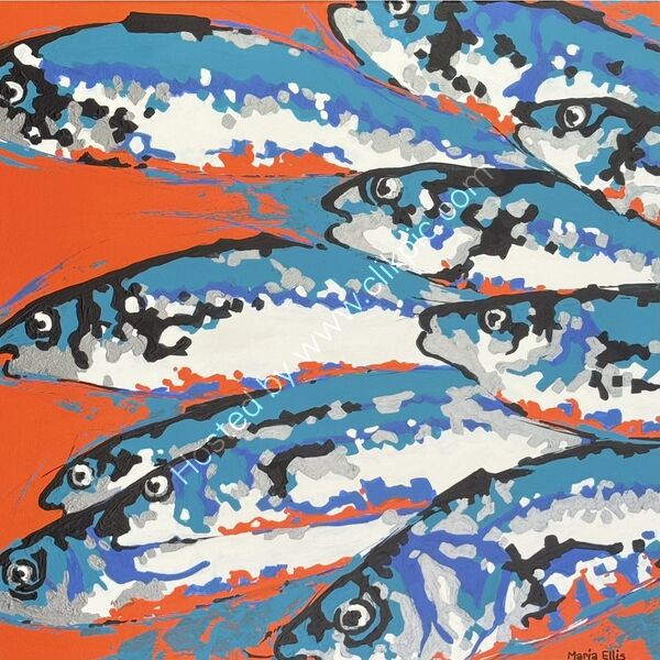 O-fish—ally done
