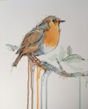 'Robin'