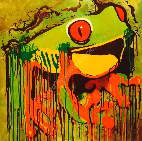 Red eyed tree frog