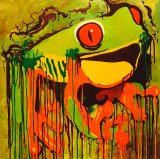 Red eyed tree frog