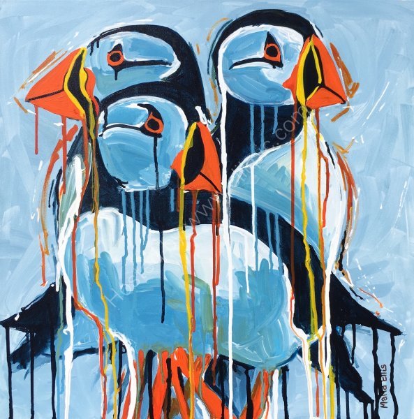 Scilly Puffins