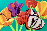 Dazzling Tulips