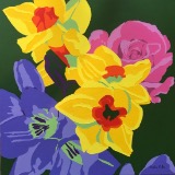 Narcissi