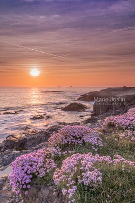 MJP034 Treyarnon Bay