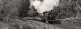 Palmerston with slate train.