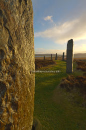 Ring of Brodgar stones
