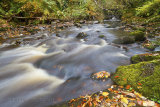Golspie Burn in autumn