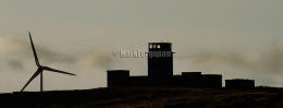 Flotta