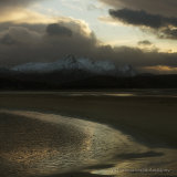 Ben Loyal
