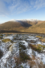 Ward Hill in January