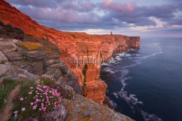 Marwick spring