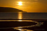 Sea of gold