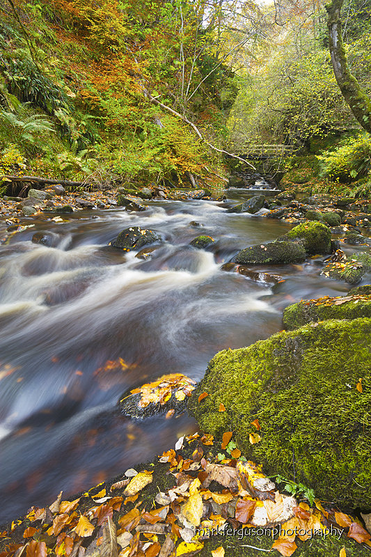 Golspie Burn