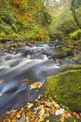Golspie Burn