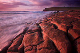 Choin rocky shore