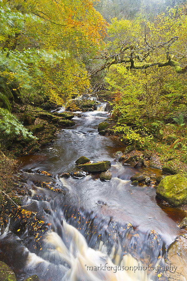 Golspie Gorge in autumn