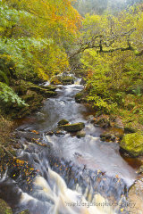 Golspie Gorge in autumn